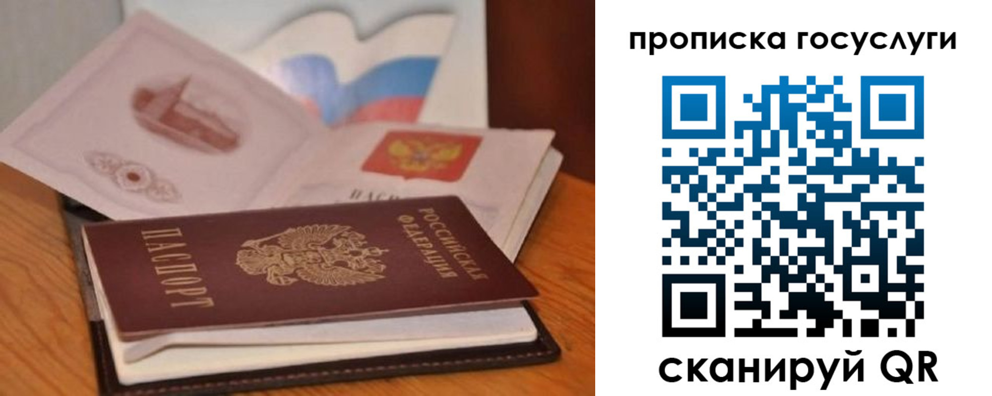 прописка в квартире в Железногорске